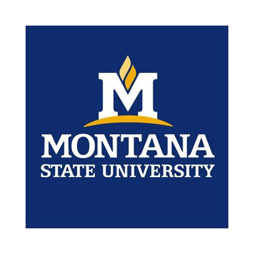 (US) MONTANA STATE UNIVERSITY